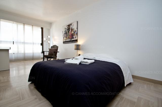 Cannes Film Festival 2024 apartment rental D -161 - Details - GRAY 2I1